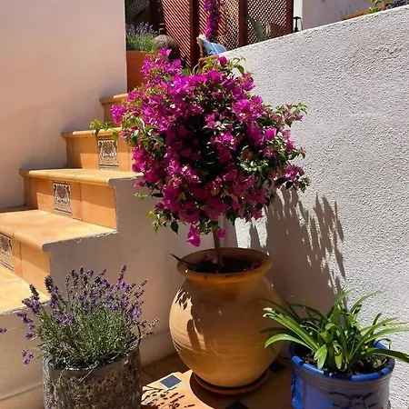 Casa Tq: Encanto Historico, Alma Y Confort Moderno דירה *